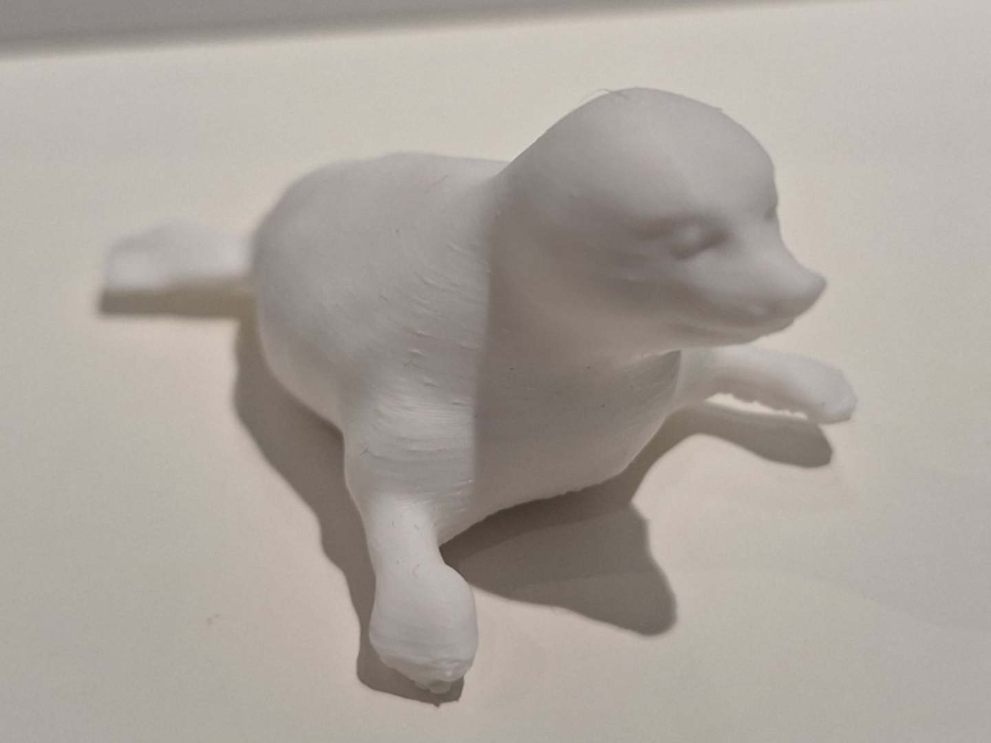 Robbe - Cute Seal