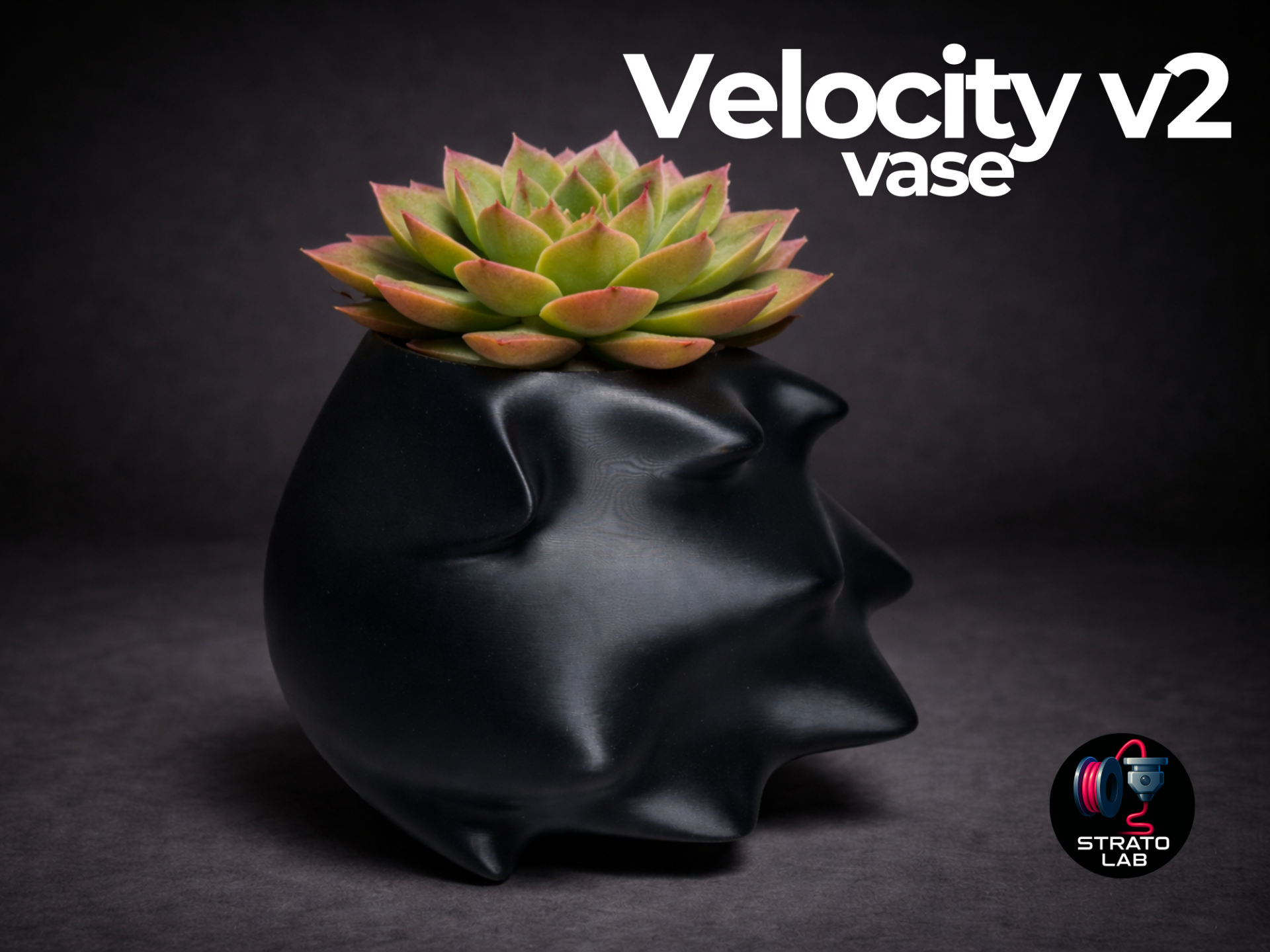 Velocity v2 - vase