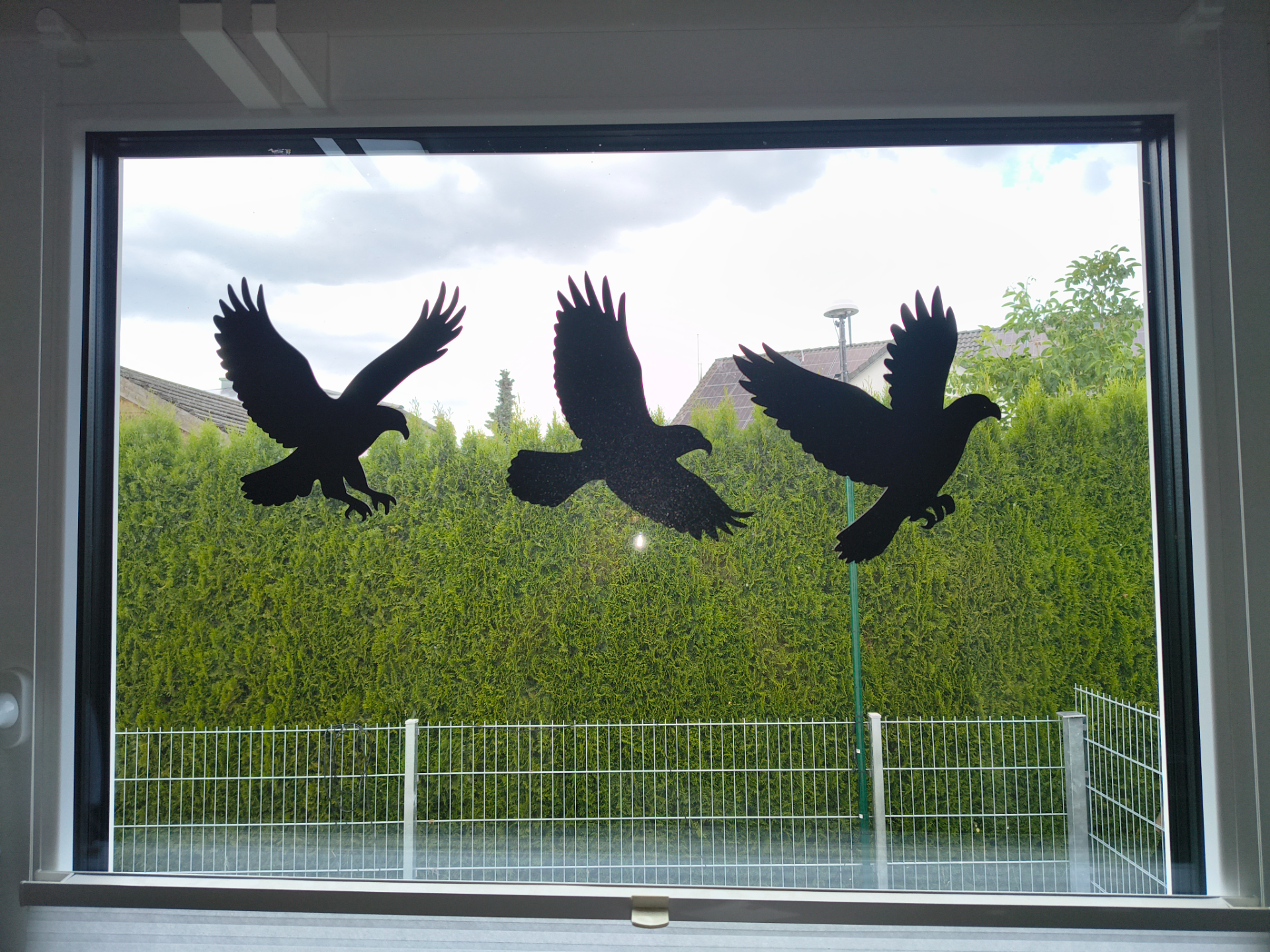 Bird Protection Window Sticker – Silhouette Decal