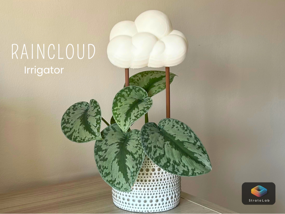 RainCloud