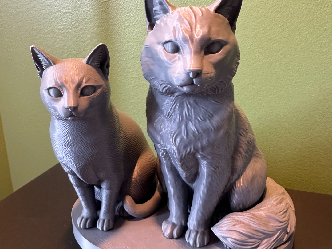 Chat Majestueux à Poils Longs (Sans AMS)