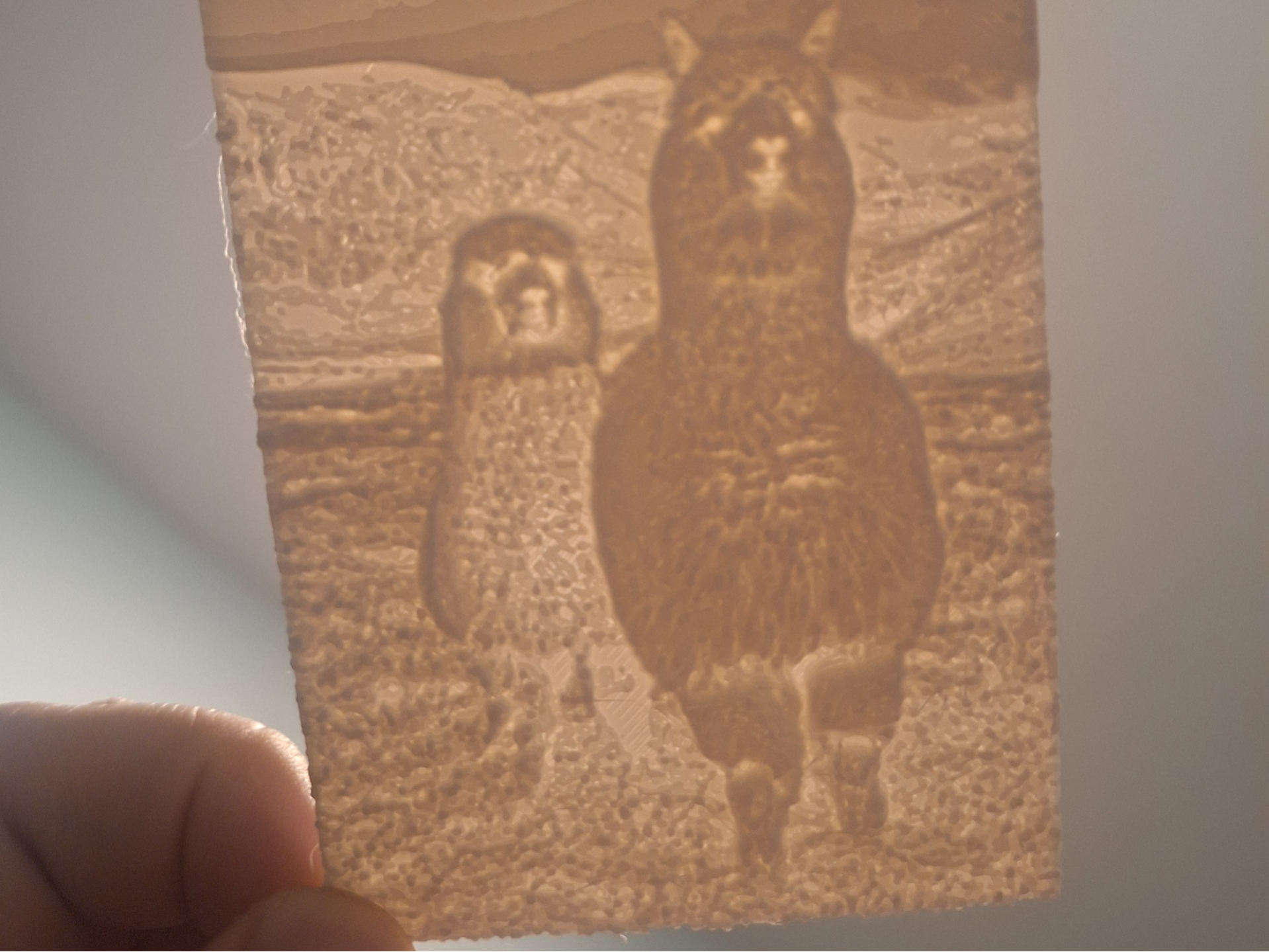 Llama Lithopane