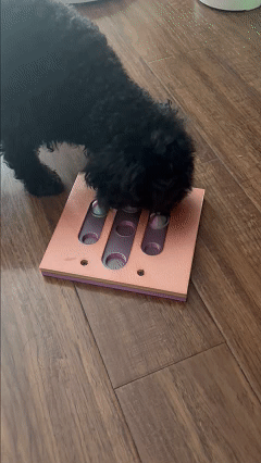 Pet food toys