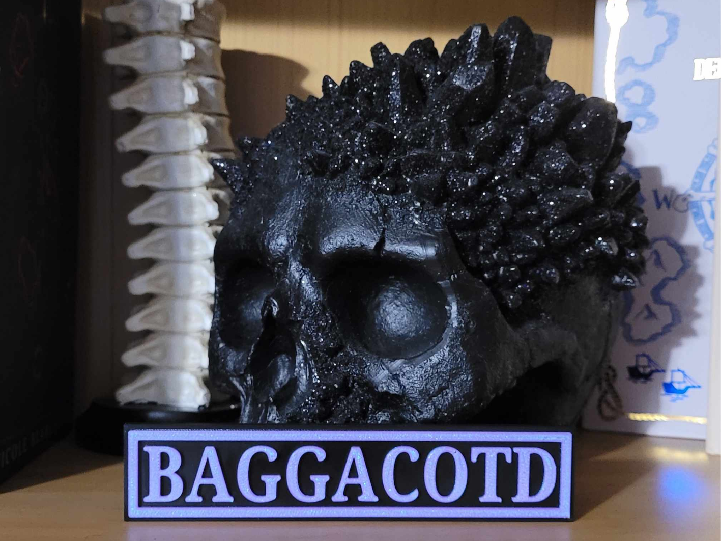 Bookshelf Sign - BAGGACOTD