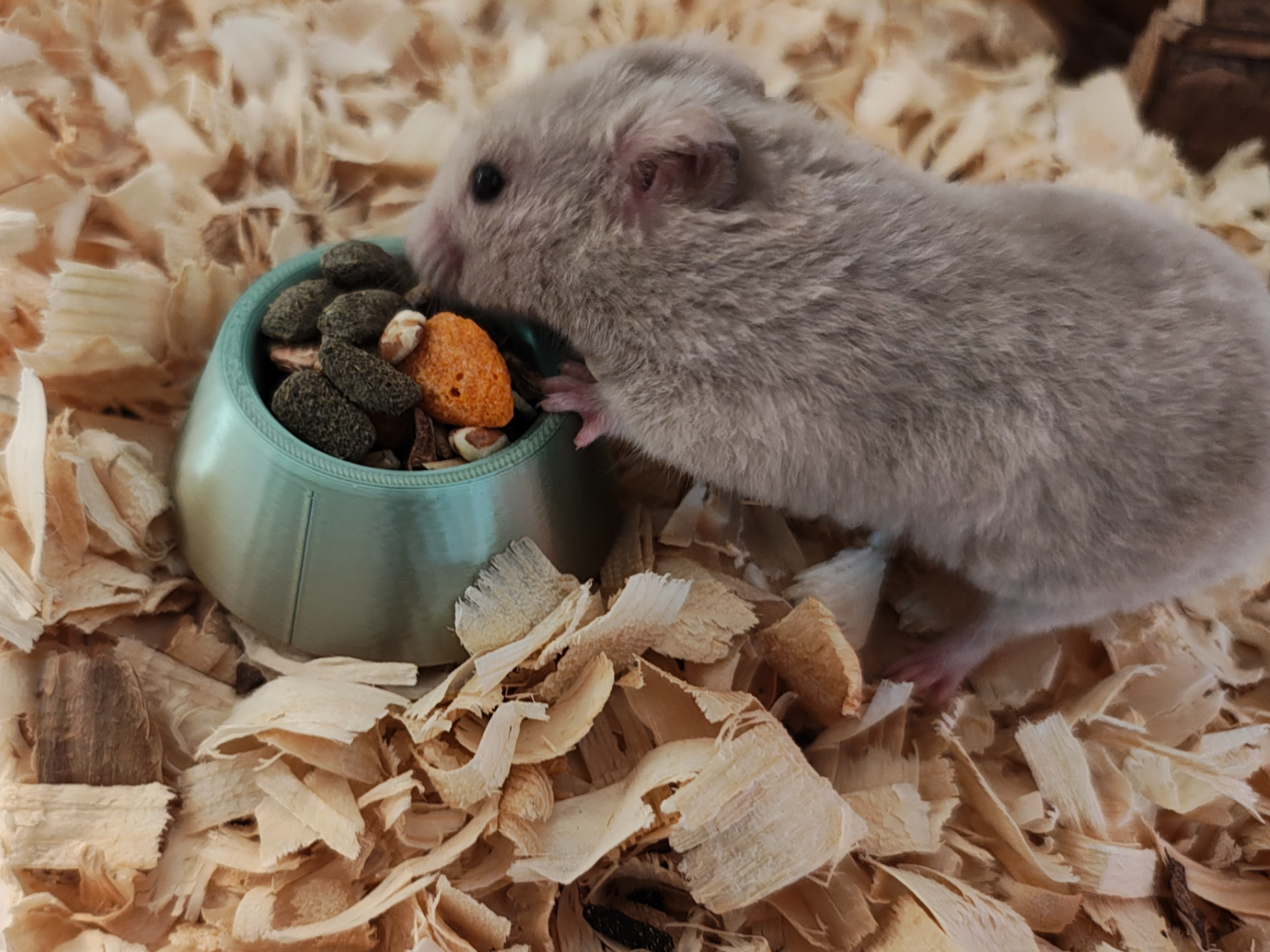 Mini Food Bowl for Small Animals
