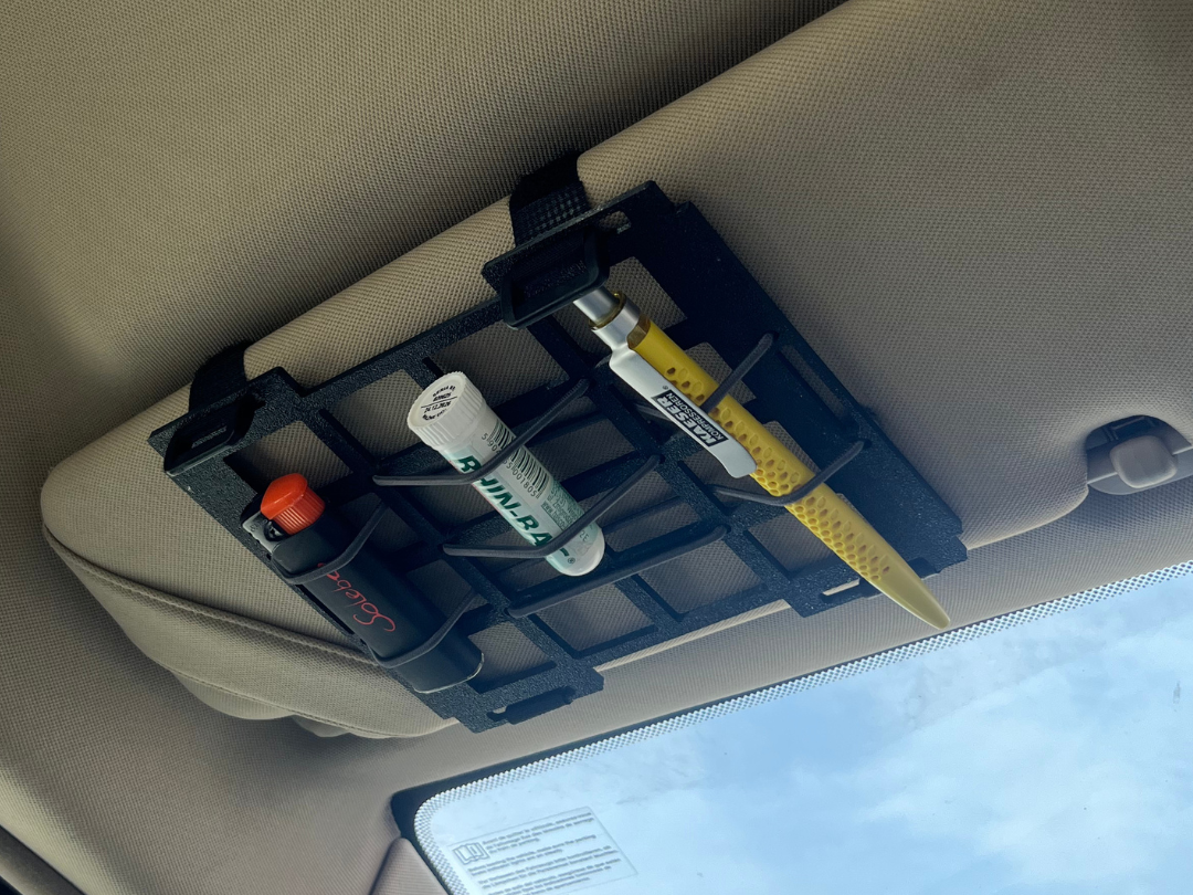Sun visor Mole Panel Organizer