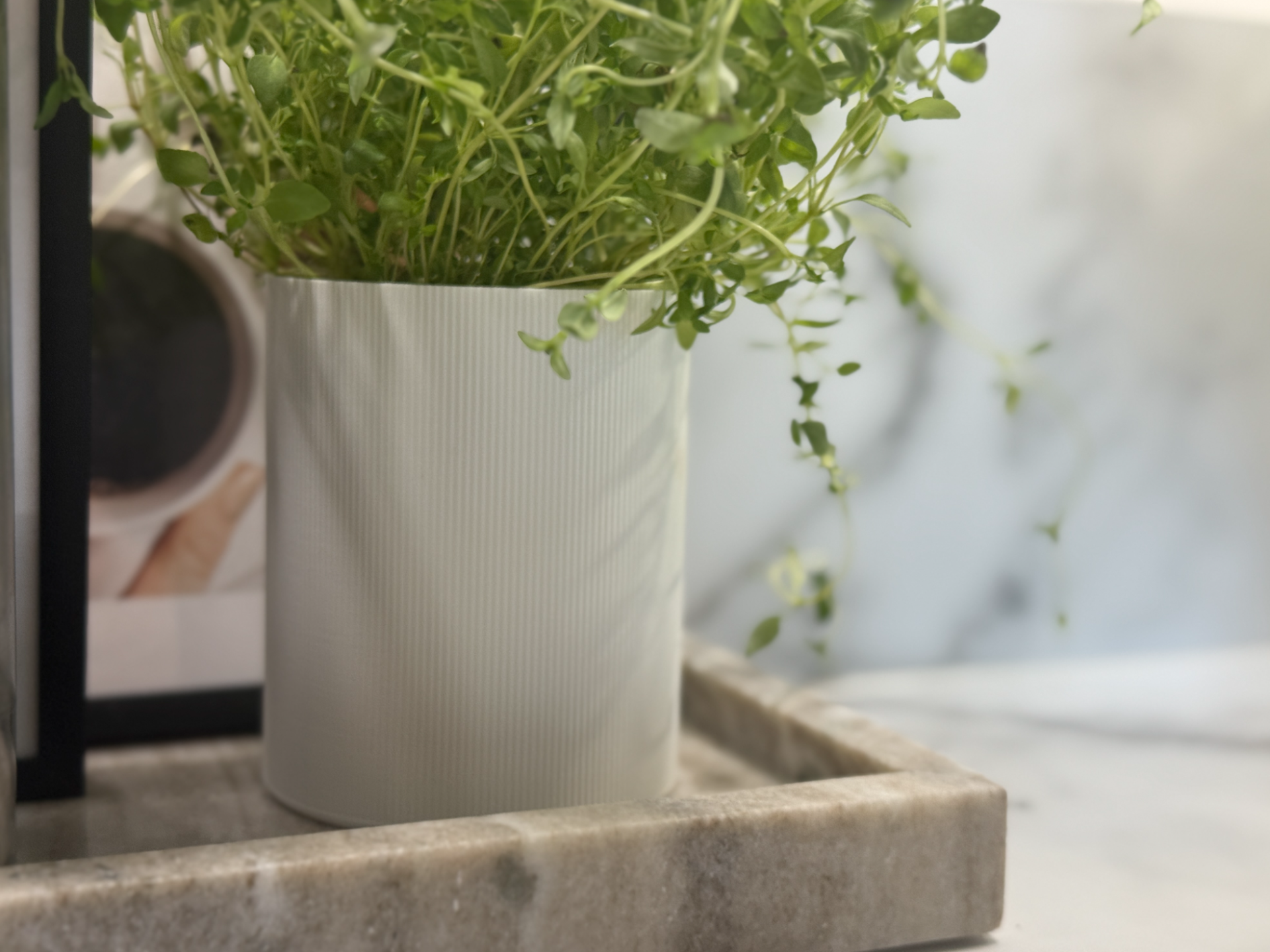Modern Fresh Herb Pot - Vertical Lines