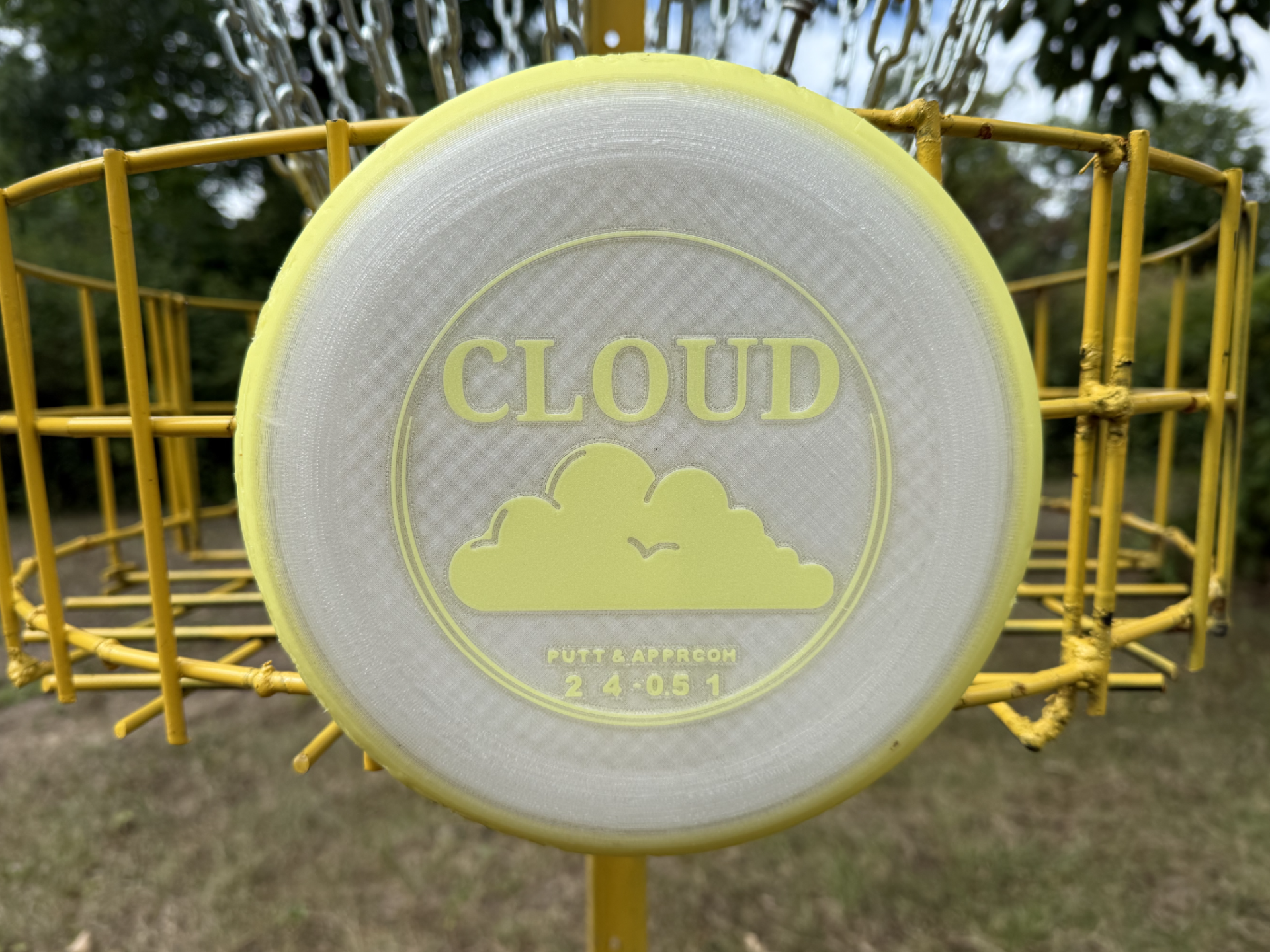 Disc golf putter and approach disc