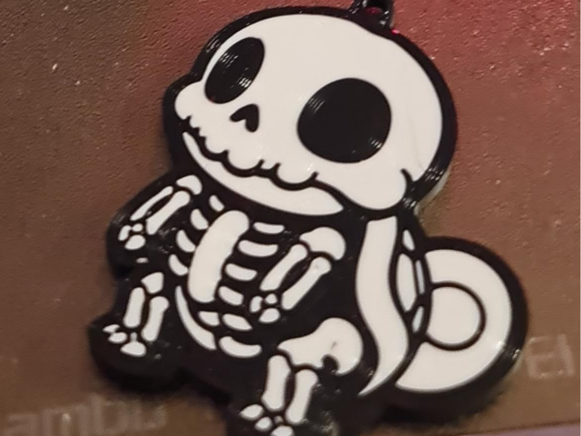 Pokemon Skeletons Keychains both Side