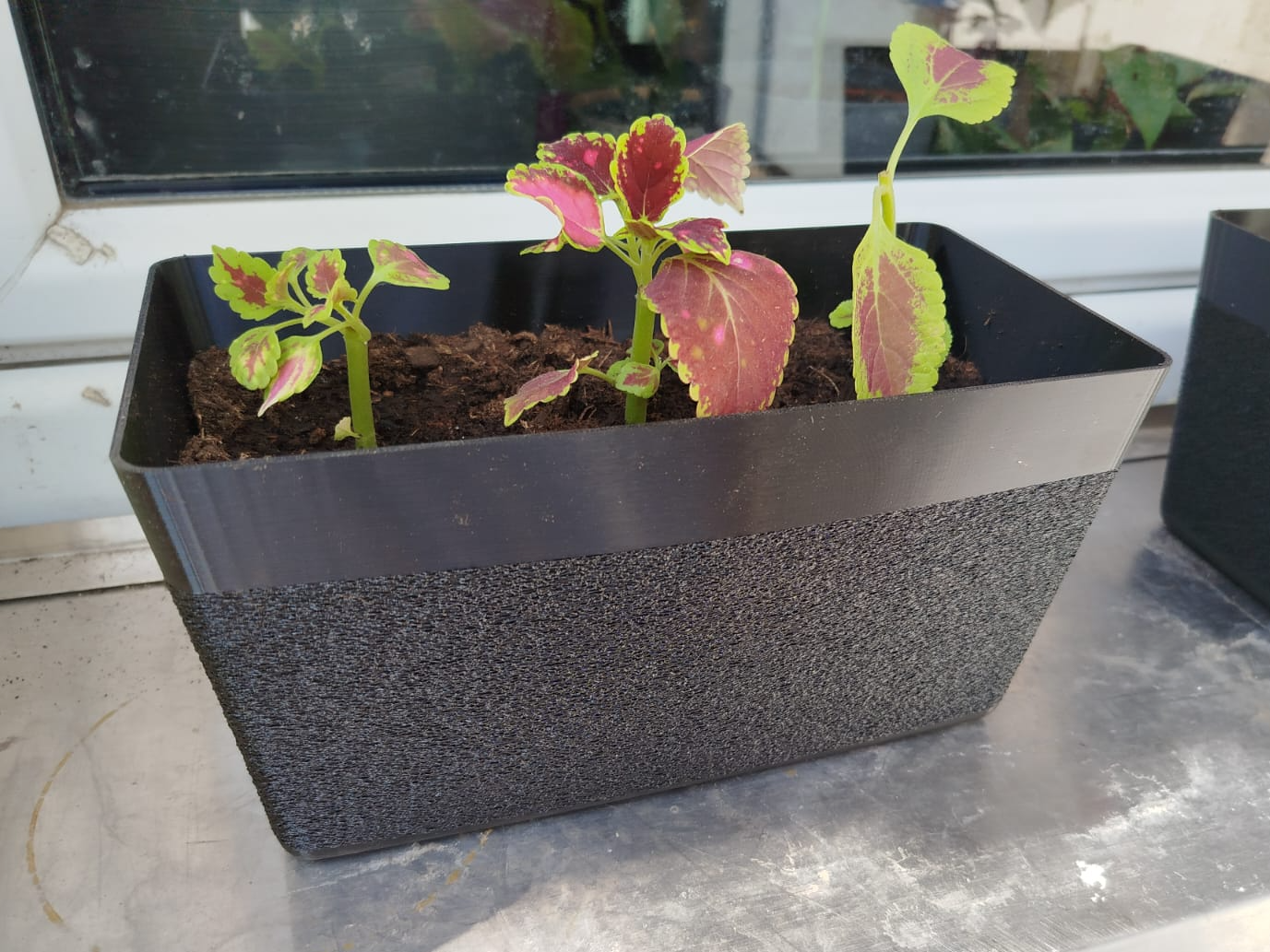 Flower Pot