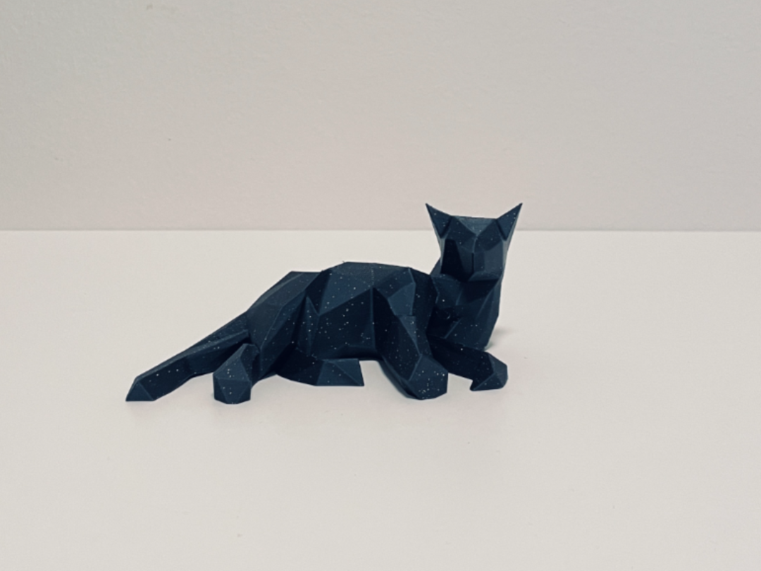 Stylish cat