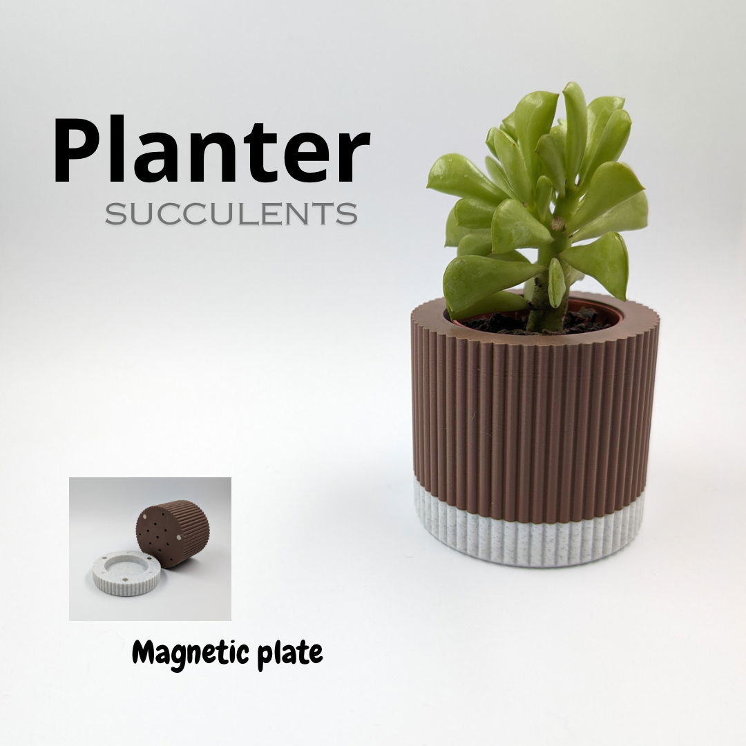 Succulent planter with magnetic plate