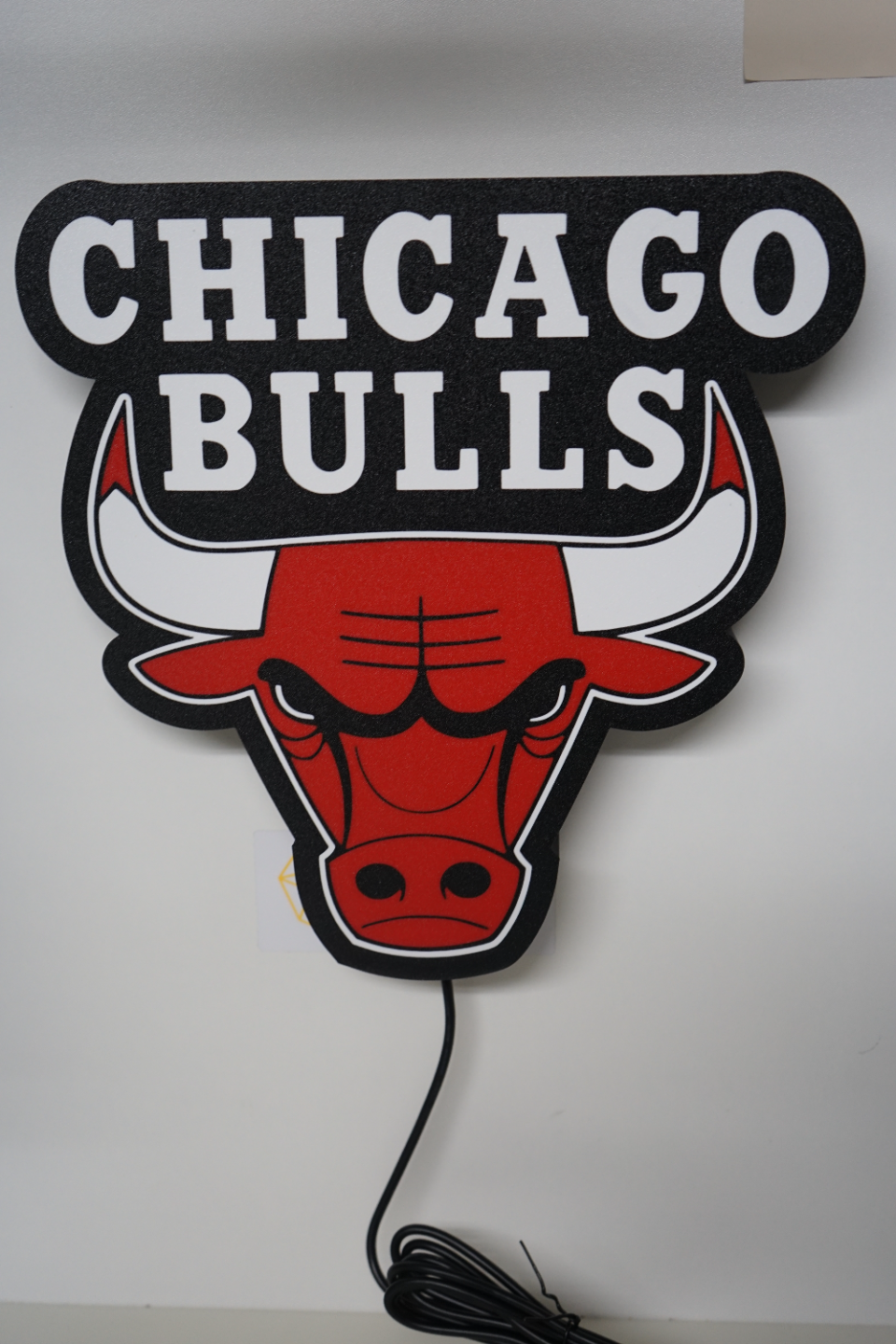 Chicago Bulls Logo