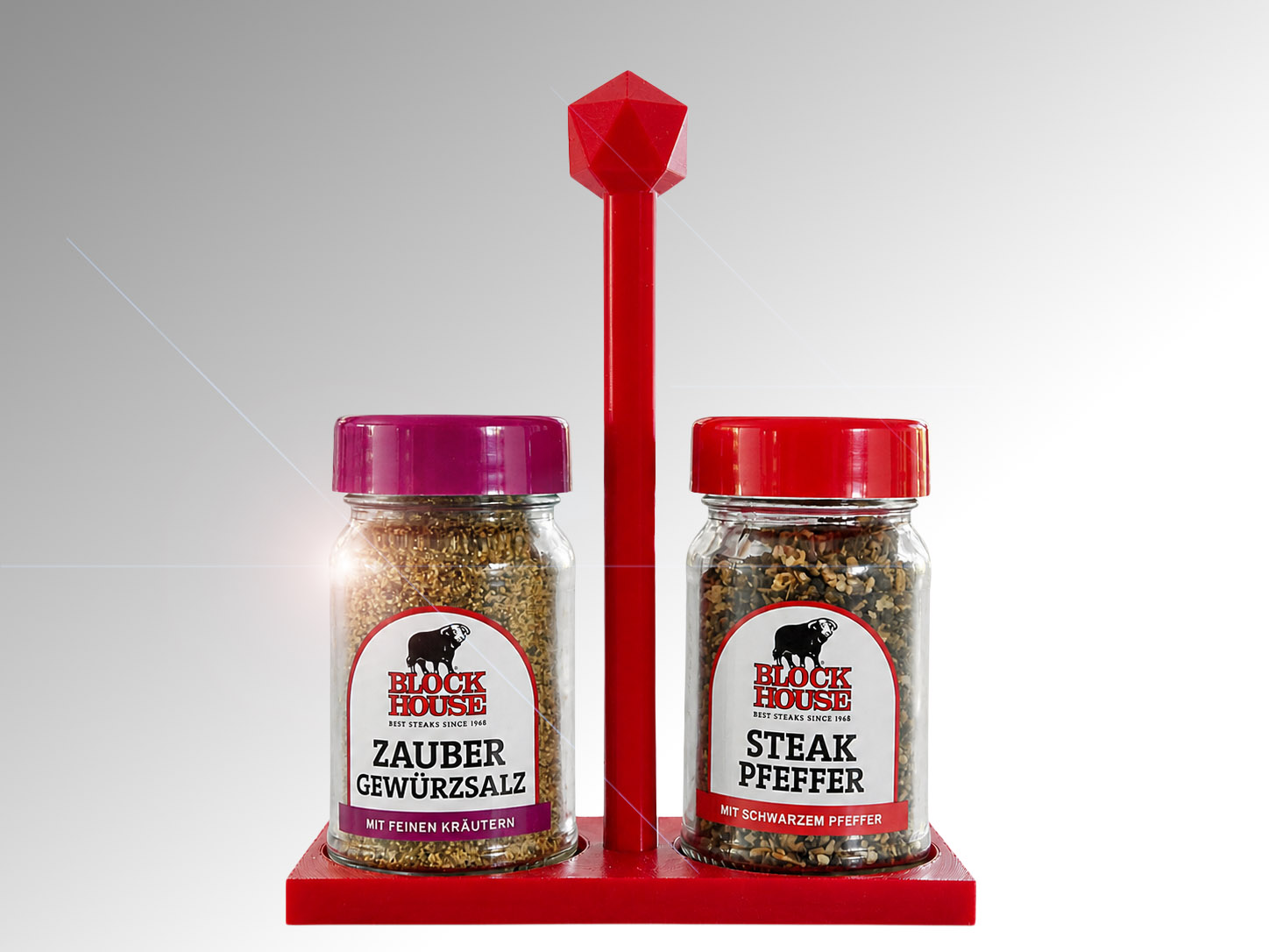 2er Set Gewürzständer mit Griff
