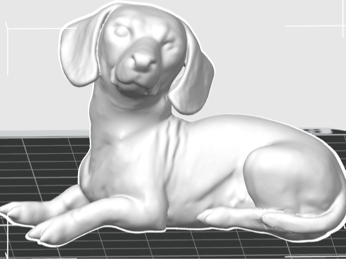 Miniature Dachshund