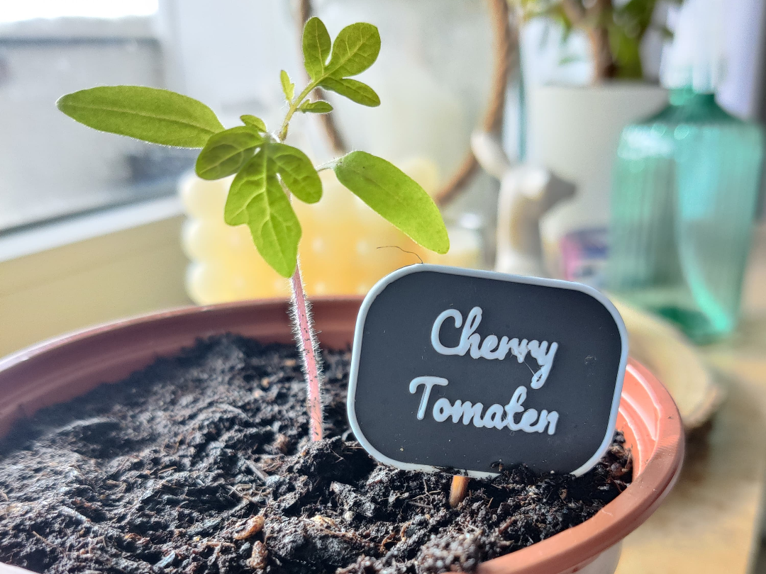 Plant Sign + Holder (Garden Herb Vegetable Fruit)