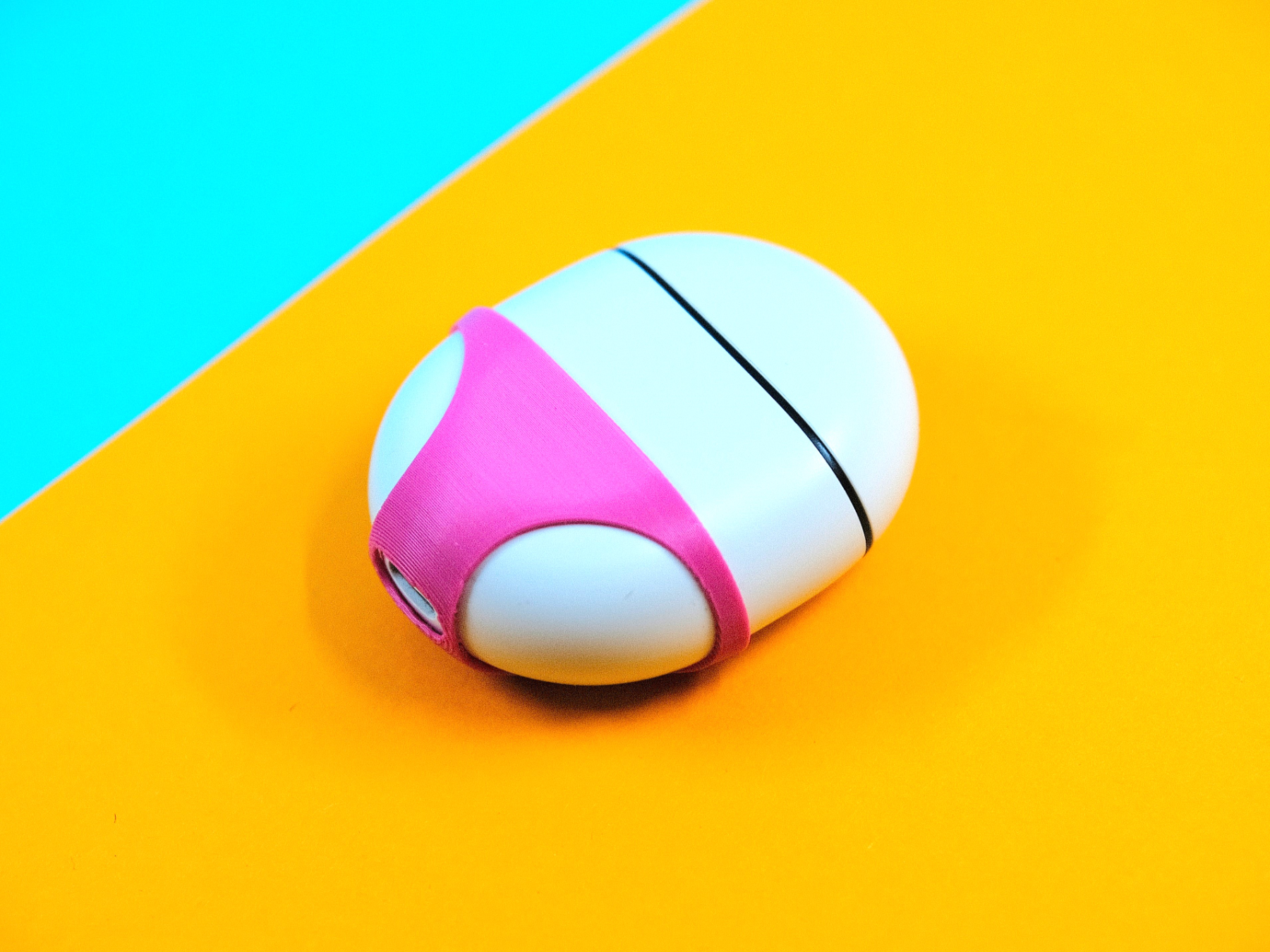 Pixel Buds Pro Panty Case