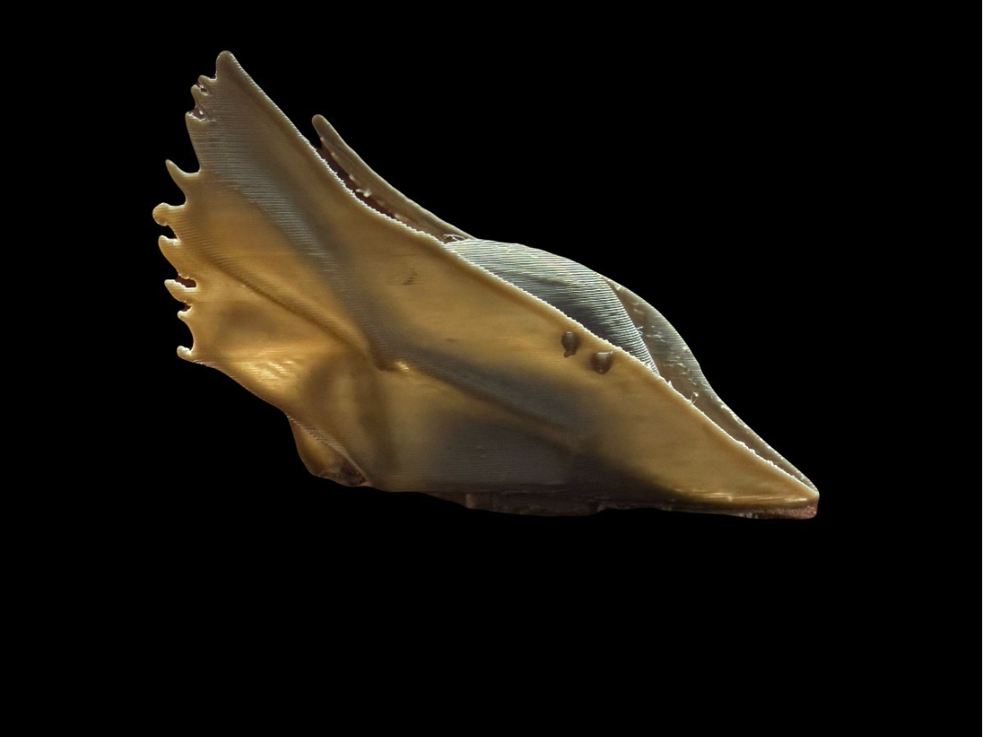 Bloodborne Hat / Hunters Hat Desk Decoration