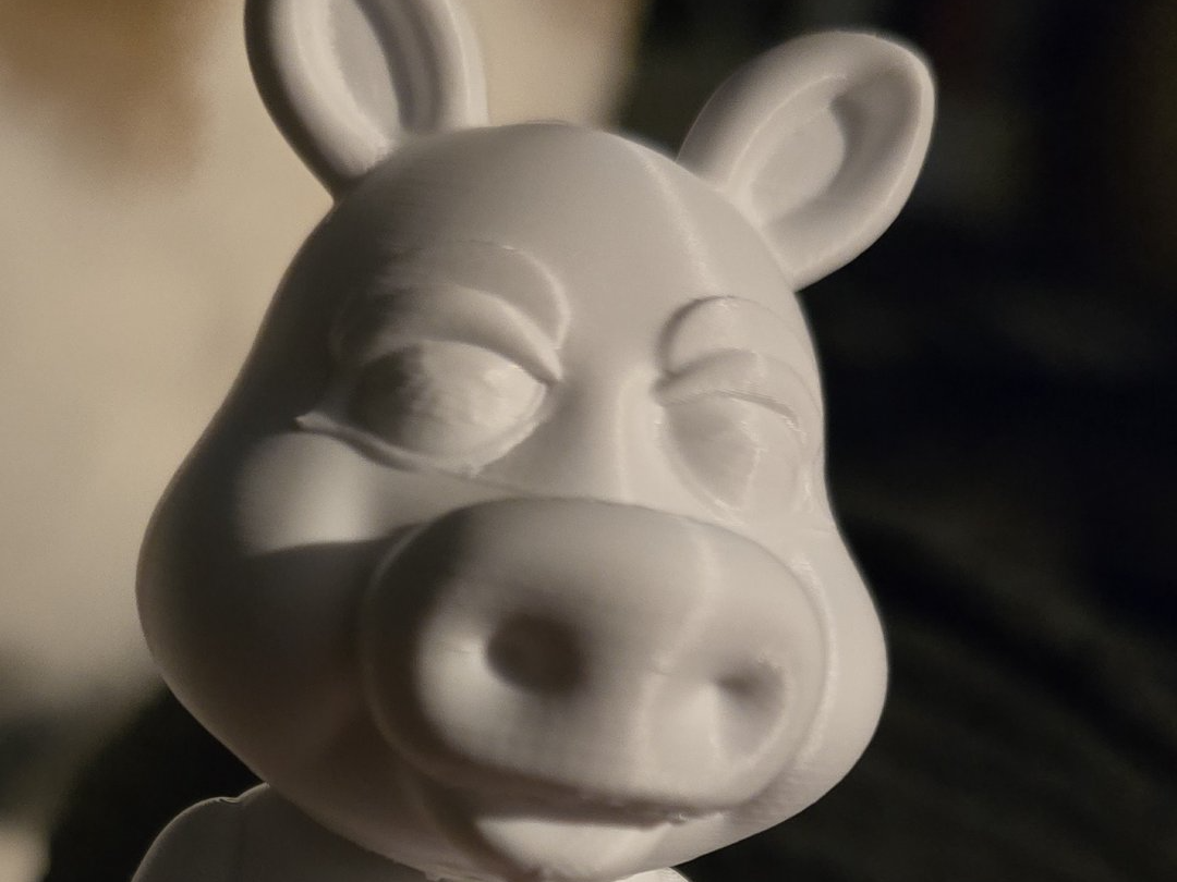 miss piggy bust