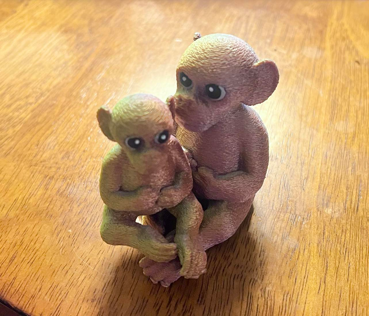 Baby Monkey