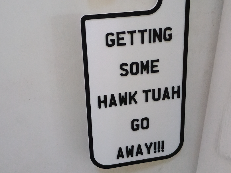 Hawk tuah door hanger