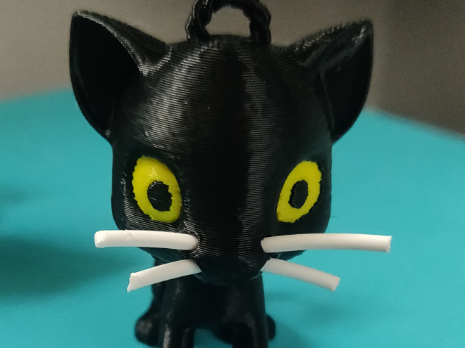 Black Panther with whiskers