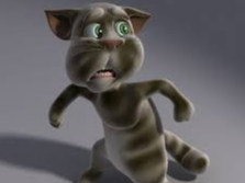 hiding talking tom