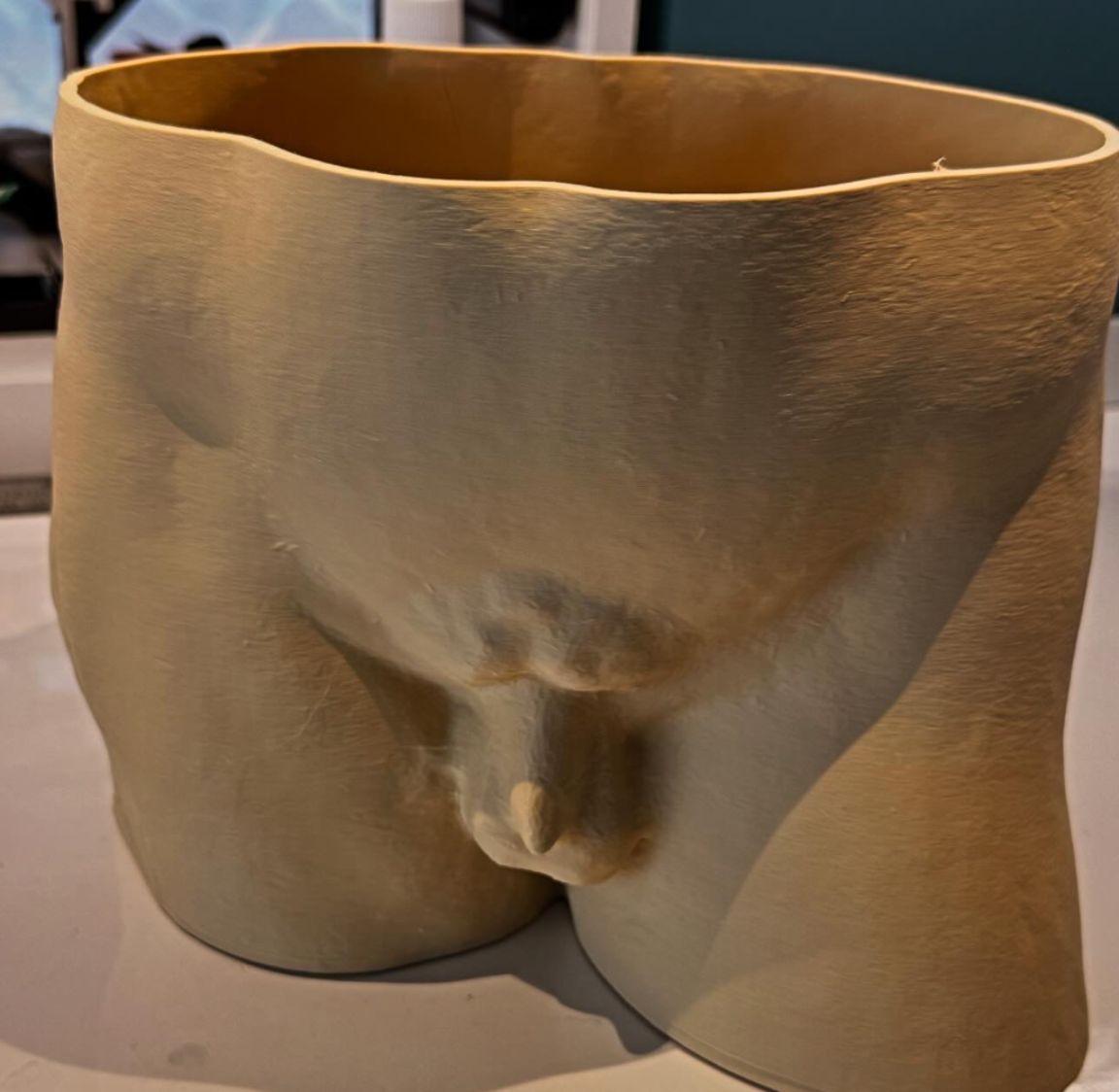 Michelangelo's David - Planter