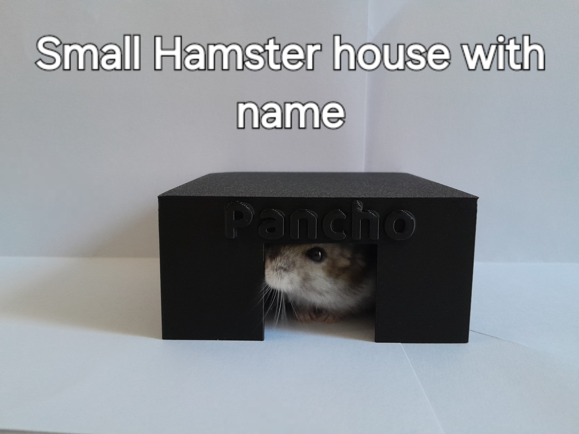 Dwarf Hamster House with Customizable Name