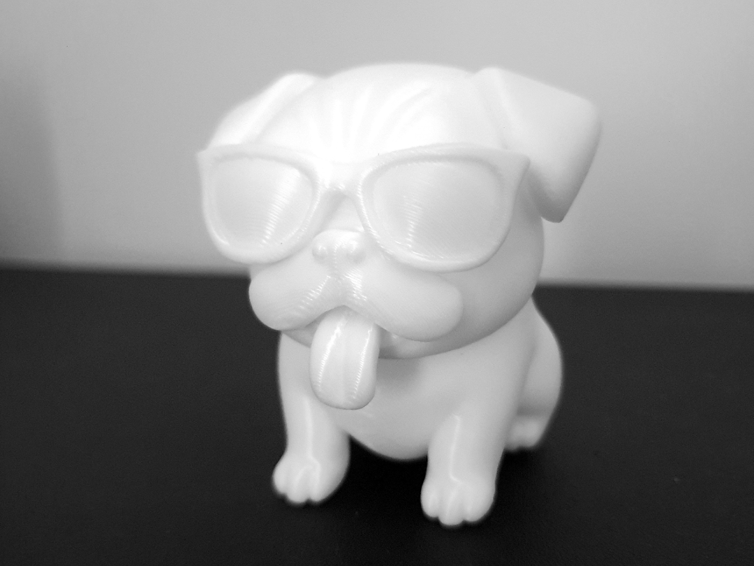 Pug in Shades