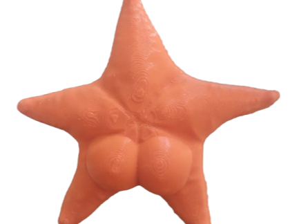 CONICET ESTRELLA DE MAR PARA HELADERA