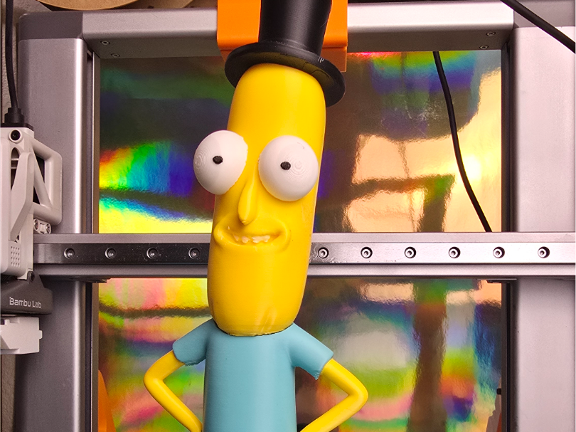 Rick and Morty Mr. Poopybutthole Character
