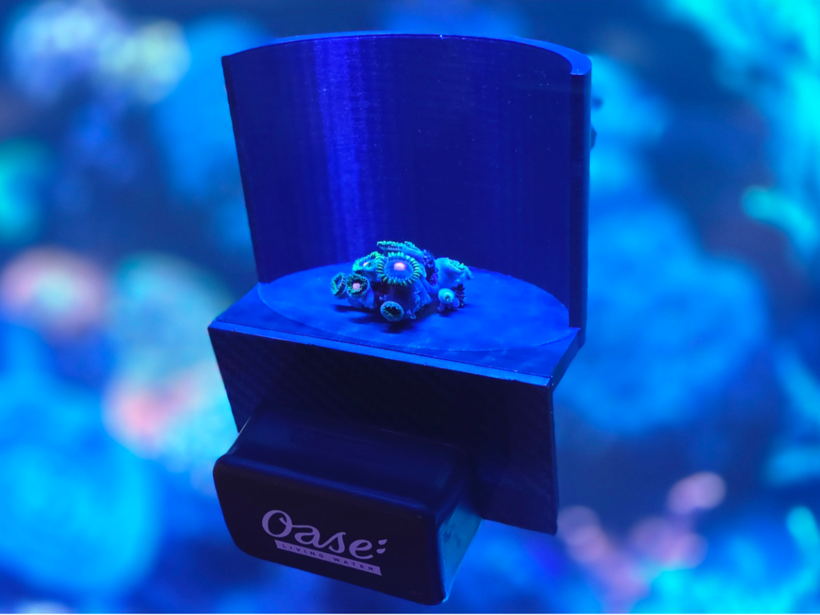 Coral Frag Photo Stand for Reef Plugs