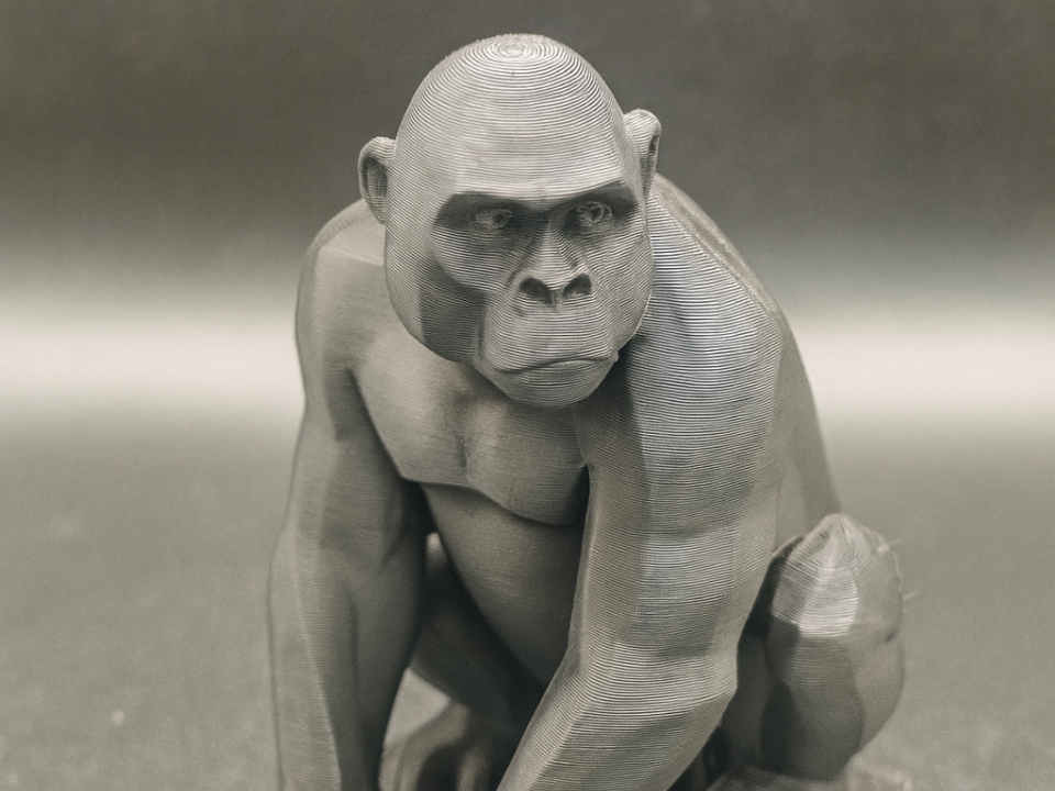 Gorilla - Animal Kollektion