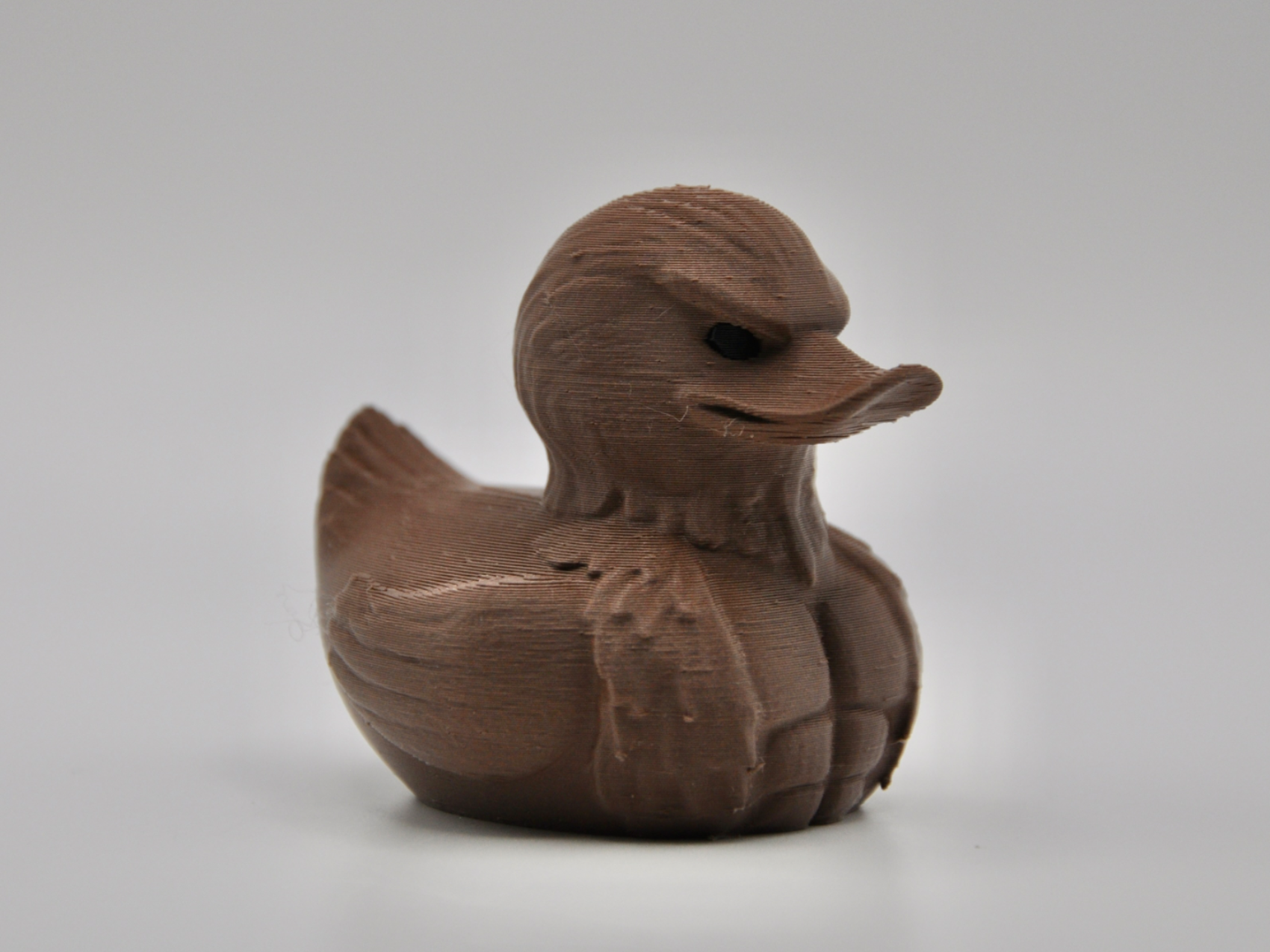 Hawk Duck