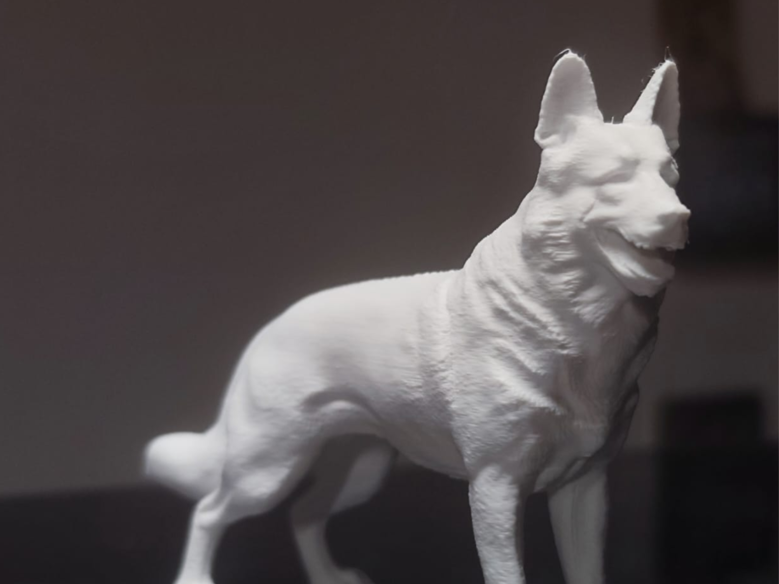 German Shepherd