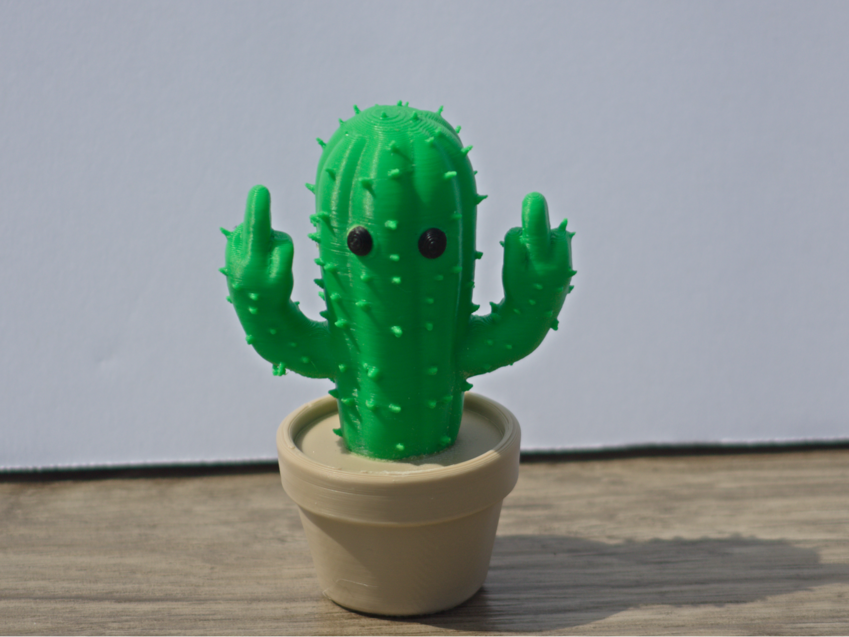Prick the Cactus