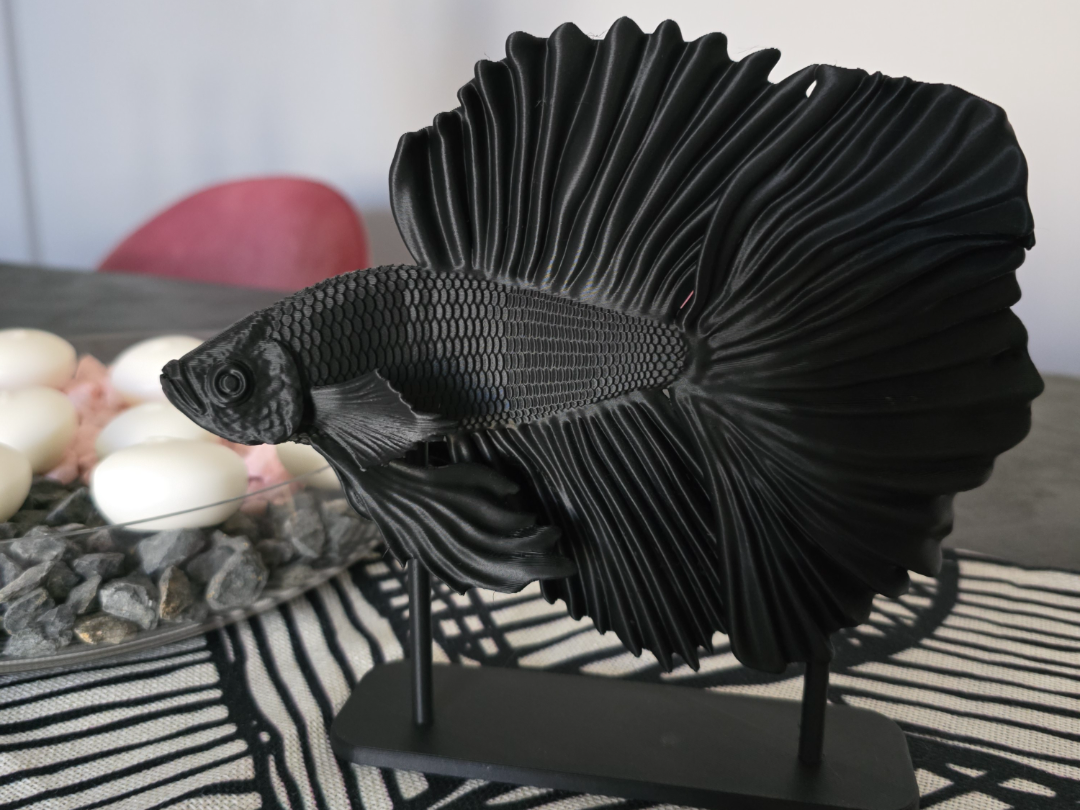 betta fish