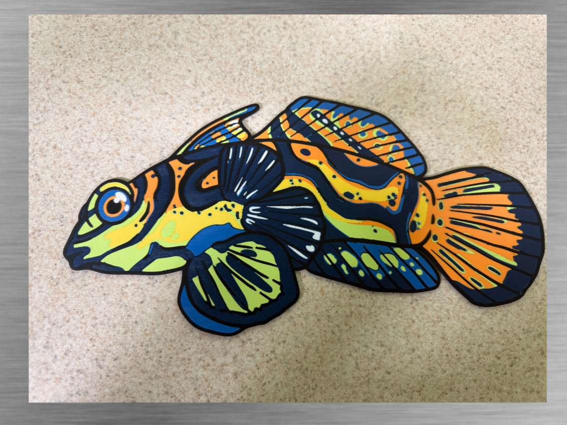Mandarin Goby -Wall Art Large Cutout & Framed