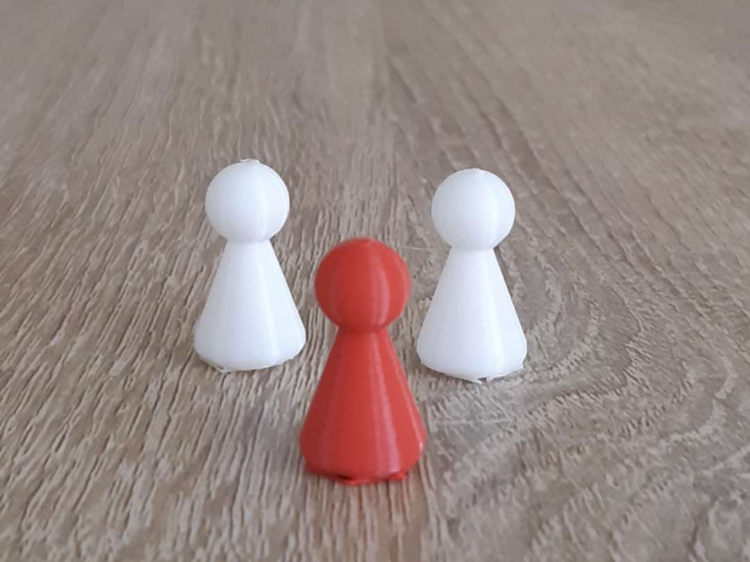 Pions de Jeu