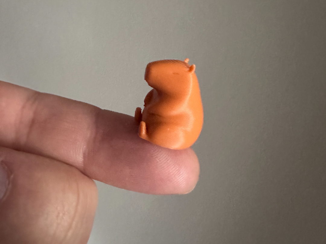 Mini cute Capybara