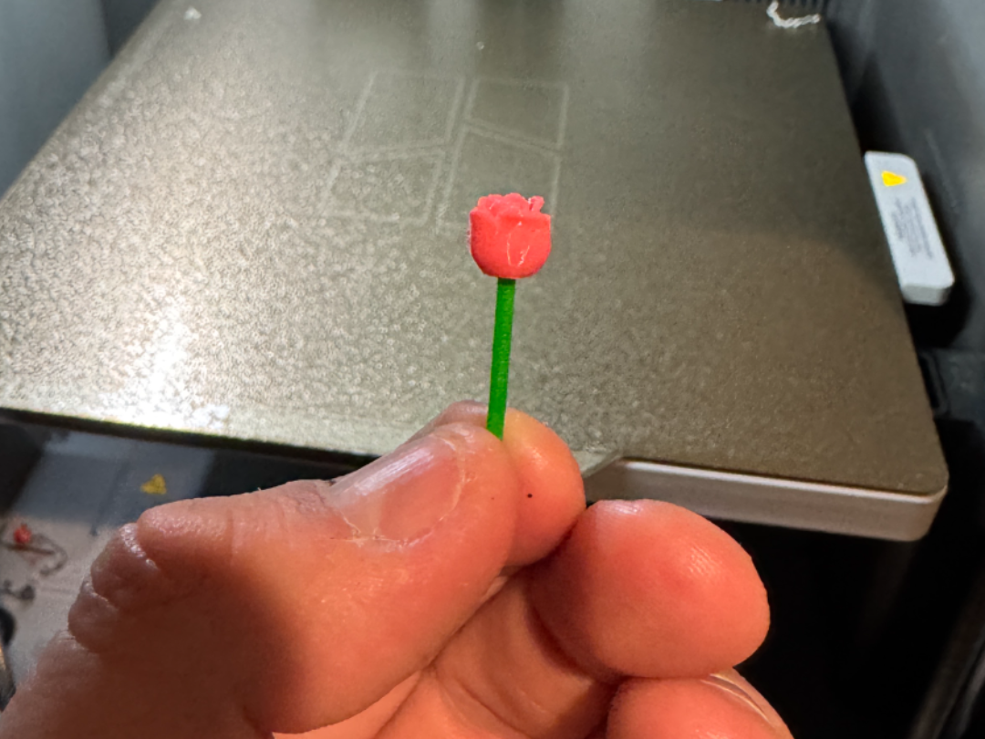 Pocket Valentine Rose