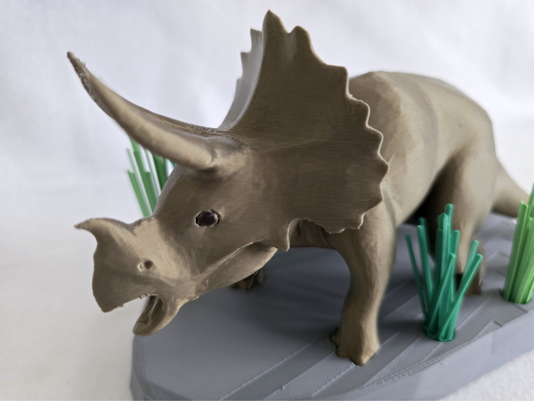 Triceratops Diorama