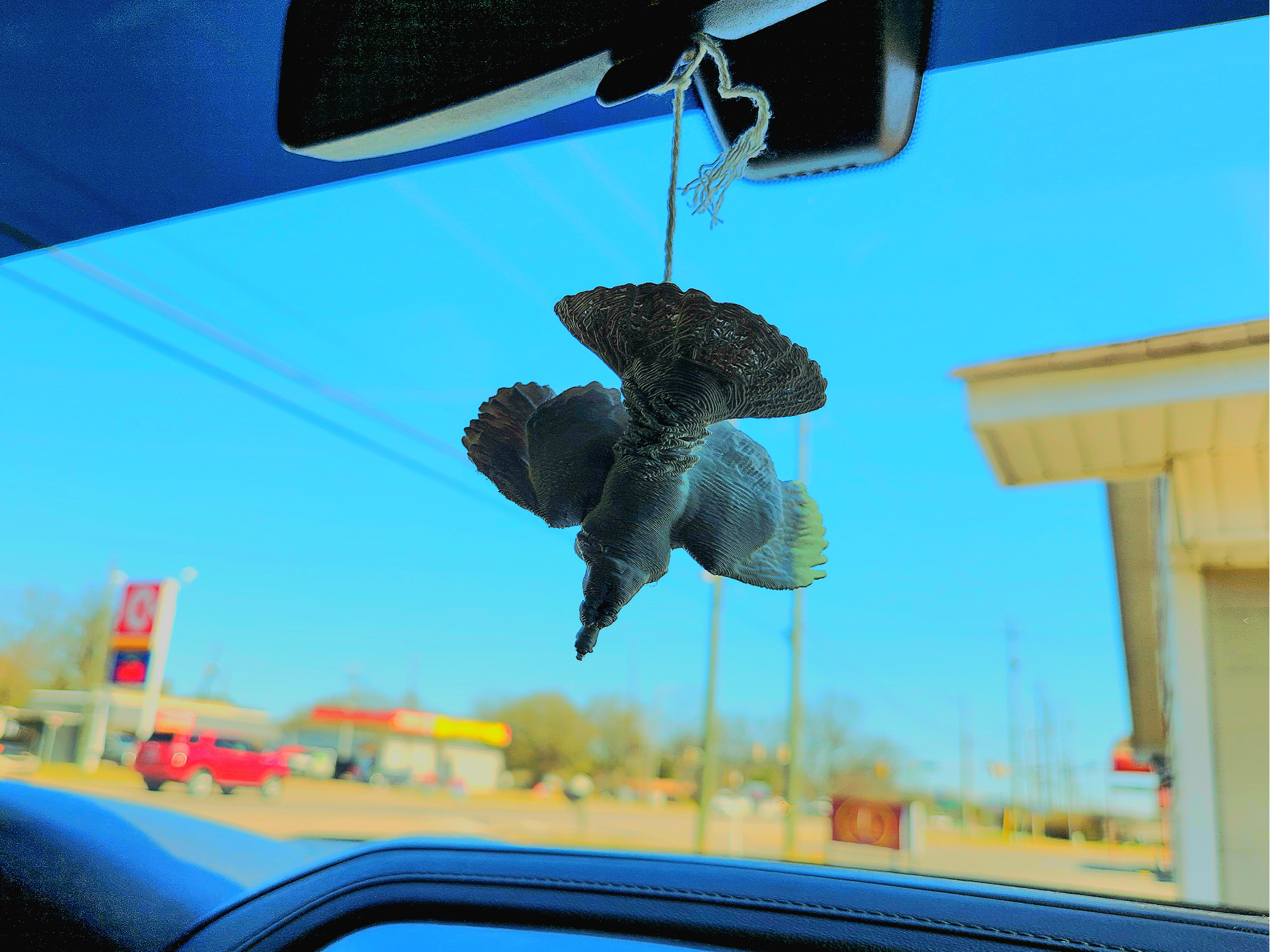 "Turkey" Hang