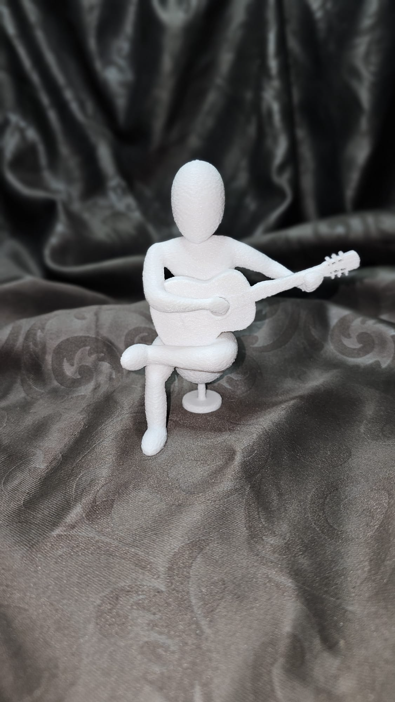 Gitarrist - Guitarist