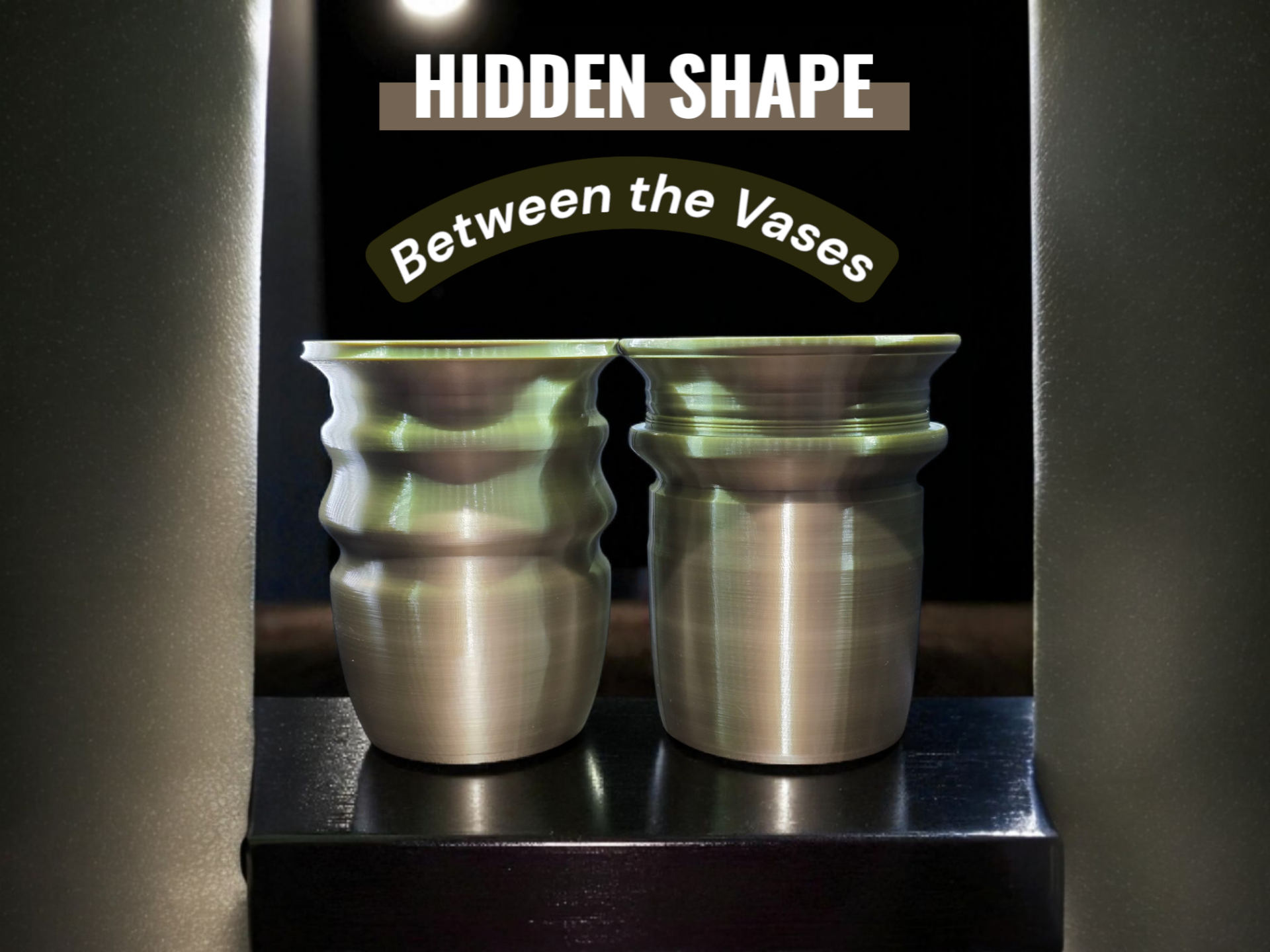 Hidden Shape Vase