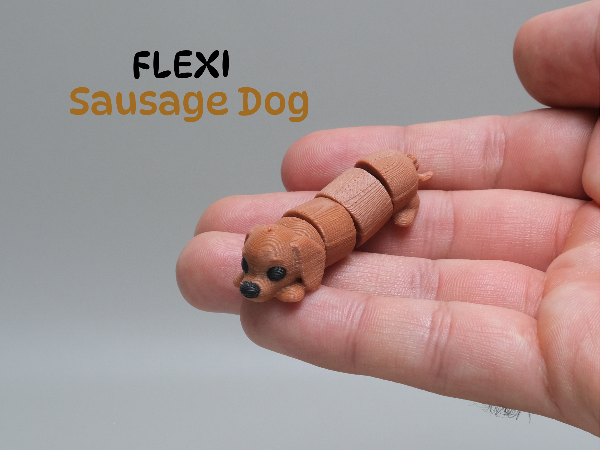 Cute Sausage Dog | Dachshund Lying Flat 3D Model