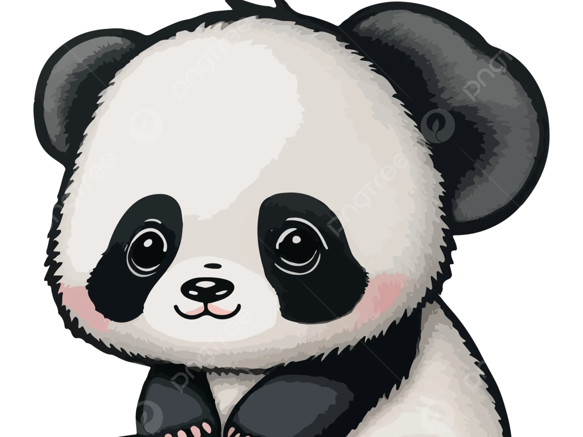 Baby Panda