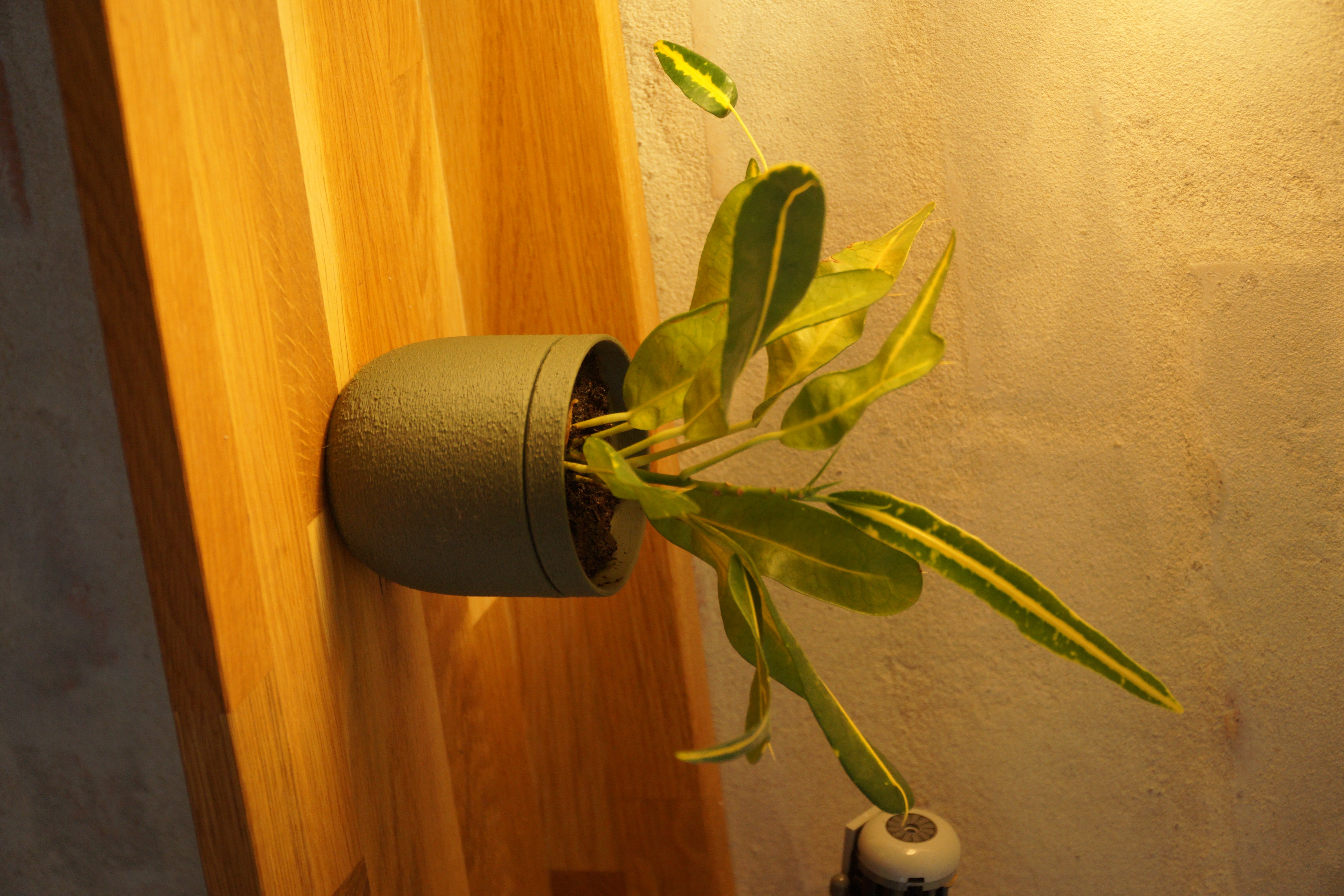 Elegant Self Watering Planter 3 variations 4 sizes
