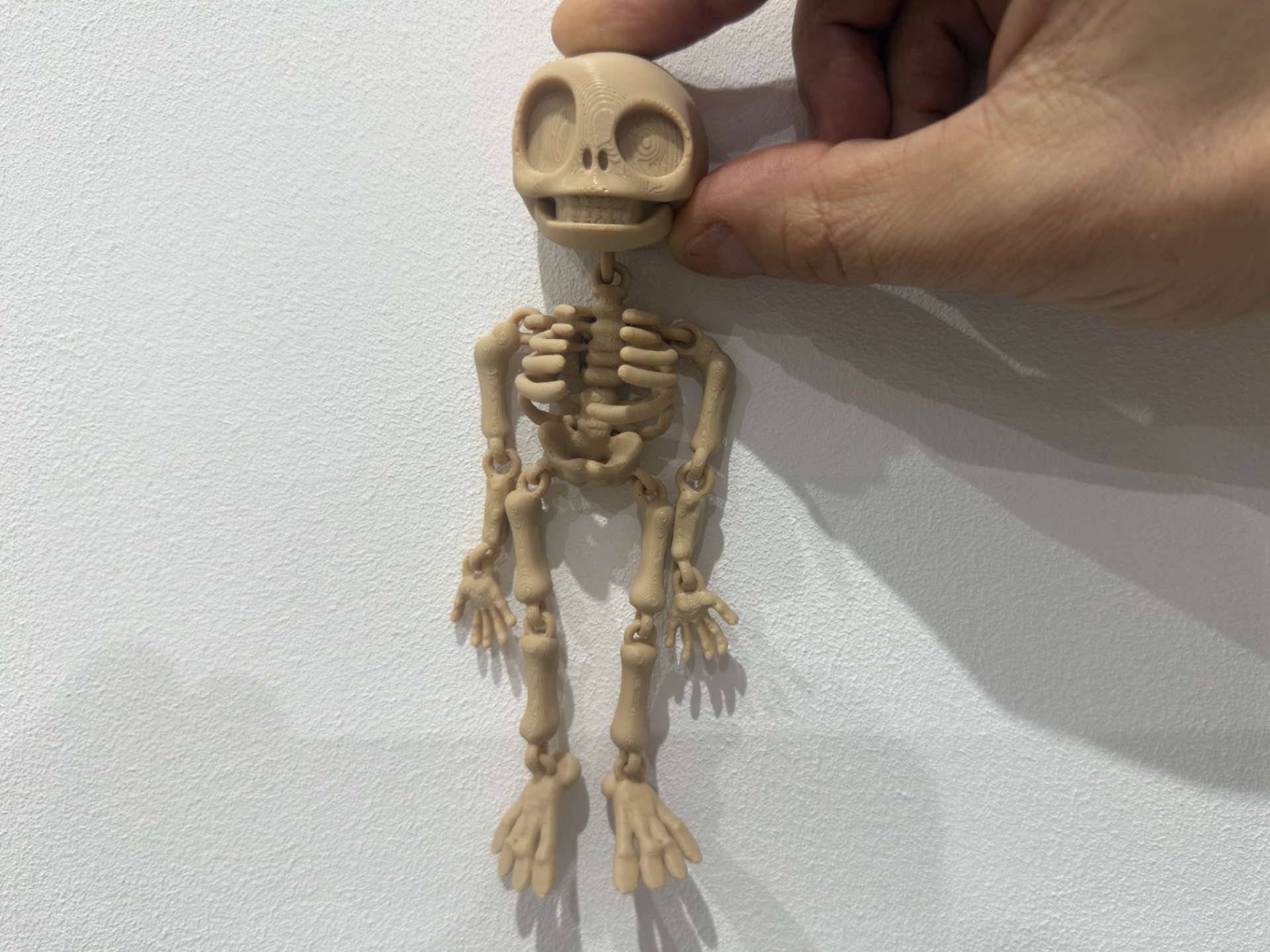 Flexy Skeleton skull